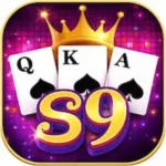 S9 game