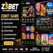 what is z3bet game