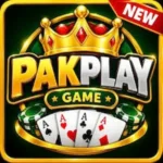 pakplay game