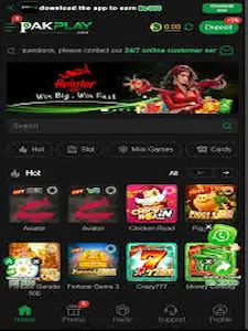 what is pakplay game